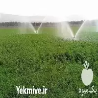 آبیاری اتوماتیک در ساری در گروه خرید و فروش اتصالات و تجهیزات آبیاری در یکمیوه