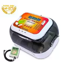 قیمت خرید دستگاه جوجه کشی آماتور در گروه تجهیزات مرغداری در یکمیوه