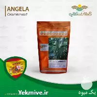 قیمت خرید بذر خیار گلخانه زودرس در تهران در گروه خرید و فروش بذر خیار در یکمیوه