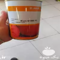 فروش بذر گوجه فرنگی سانسید در شیراز در گروه خرید و فروش بذر گوجه در یکمیوه