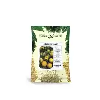 فروش بذر ملون گالیا ریوان گاوریش در تهران در گروه خرید و فروش بذر ملون در یکمیوه