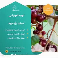 نحوه ایجاد باغ میوه در تهران در گروه دوره آموزش کشاورزی در یکمیوه