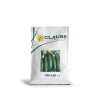 قیمت خرید بذر خیار اورکا کلوز در تهران در گروه خرید و فروش بذر خیار در یکمیوه