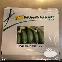 قیمت خرید بذر خیار آفیسر در تهران در گروه خرید و فروش بذر خیار در یکمیوه