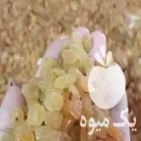 فروش عمده خرده خشکبار در سنندج در گروه خرید و فروش آجیل در یکمیوه