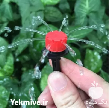 فروش اجرای آبیاری قطره ای در ساری در گروه خرید و فروش دستگاه آبیاری در یکمیوه -عکس1