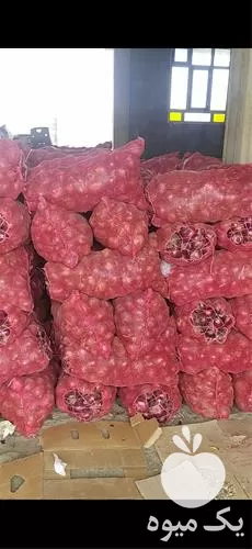 عمده پیاز قرمز پیاز زرد پیاز در زاهدان در گروه خرید و فروش پیاز در یکمیوه -عکس1