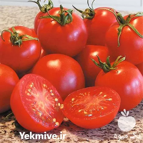 فروش بذر گوجه بارانا با کیفیت در اهواز در گروه خرید و فروش بذر گوجه در یکمیوه -عکس1