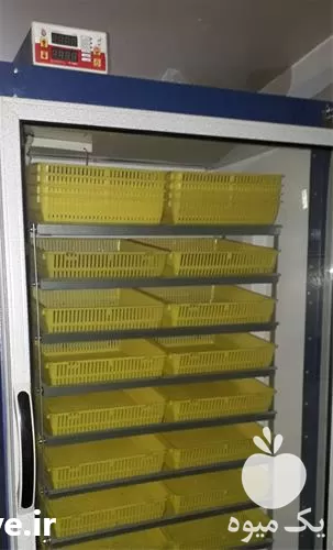 فروش دستگاه جوجه کشی بلدرچین  در تهران در گروه تجهیزات مرغداری در یکمیوه -عکس1