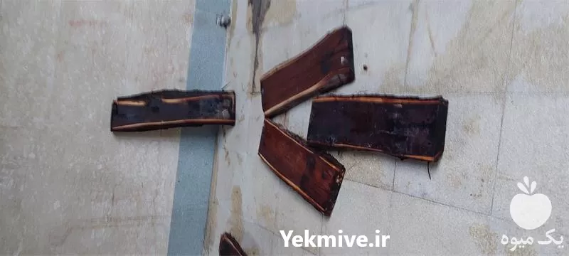قیمت خرید اسلب کهور در هرمز در گروه خرید و فروش انواع چوب در یکمیوه -عکس1