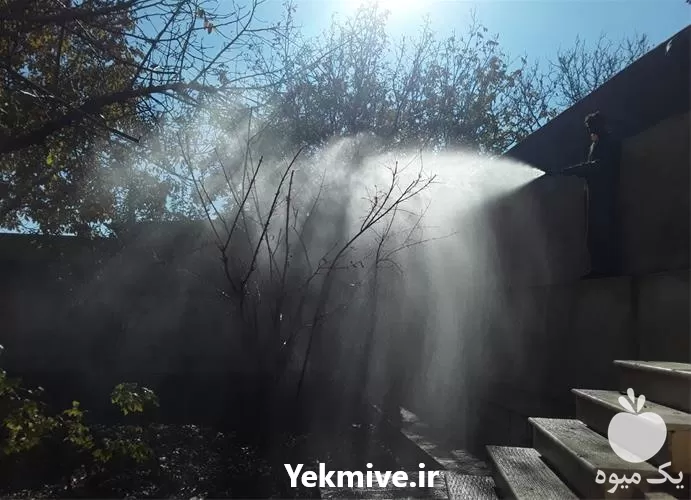 باغبانی هرس سمپاشی در گروه خدمات باغبانی در یکمیوه -عکس1