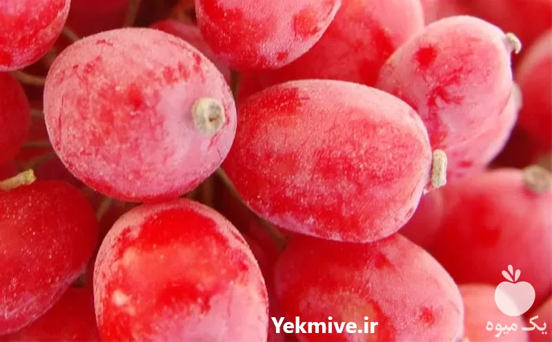 زرشک پفکی درجه یک زرشک پفکی در تهران در گروه خرید و فروش زرشک در یکمیوه -عکس1