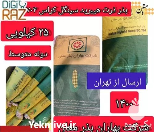 فروش بذر ذرت 704 مغان سینگل در گروه خرید و فروش بذر ذرت در یکمیوه -عکس1