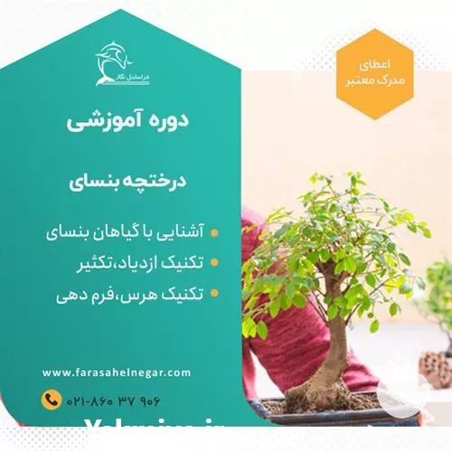 کارگاه تولید و پرورش گیاهان بنسایی در گروه دوره آموزش کشاورزی در یکمیوه -عکس1