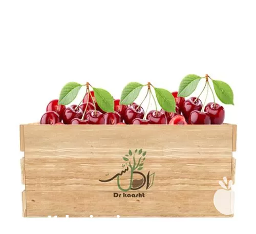 فروش عمده نهال آلبالو مورلو در تهران در گروه خرید و فروش نهال میوه در یکمیوه -عکس1