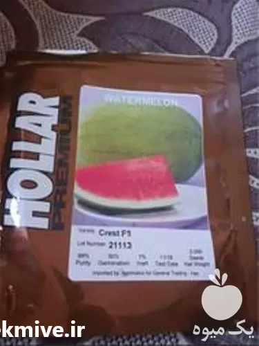 فروش قیمت بذر هندوانه هولار کرست در گروه خرید و فروش بذر هندوانه در یکمیوه -عکس1