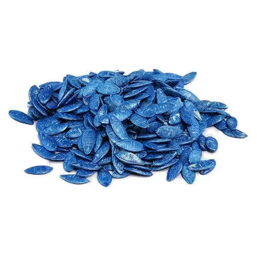 قیمت خرید بذر خیار گلخانه ای در تهران در گروه خرید و فروش بذر خیار در یکمیوه -عکس1