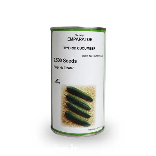 فروش بذر خیار امپراطور 2500 عددی در تهران در گروه خرید و فروش بذر خیار در یکمیوه -عکس1