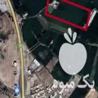 فروش مجتمع کشاورزی و پرورش ماهی در تهران در گروه خرید و فروش انواع ماهی در یکمیوه