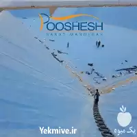 قیمت خرید احداث استخر کشاورزی در تهران در گروه خرید و فروش استخر کشاورزی در یکمیوه