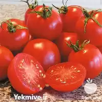 فروش بذر گوجه بارانا با کیفیت در اهواز در گروه خرید و فروش بذر گوجه در یکمیوه