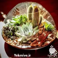 فروش کارگاه آموزش ساخت تراریوم ویواریوم در تهران در گروه دوره آموزش کشاورزی در یکمیوه