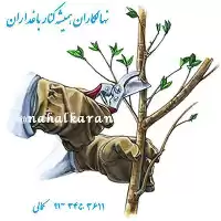 احداث باغ و باغچه در گروه هرس کاری در یکمیوه