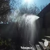 باغبانی هرس سمپاشی در گروه خدمات باغبانی در یکمیوه