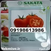 قیمت خرید بذر گوجه فرنگی ساکاتا در مشهد در گروه خرید و فروش بذر گوجه در یکمیوه