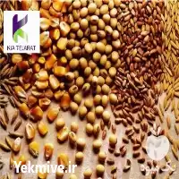 ذرت علوفه قیمت خرید جو در تهران در گروه خوراک دام و طیور در یکمیوه