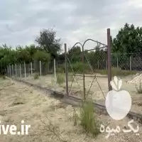 قیمت خرید فنس و پایه بتنی در بهشهر در گروه خرید و فروش فنس در یکمیوه