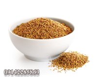 فروش بذر یونجه بغدادی در گروه خرید و فروش بذر یونجه در یکمیوه