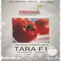 قیمت خرید بذر گوجه زودرس تارا در تهران در گروه خرید و فروش بذر گوجه در یکمیوه