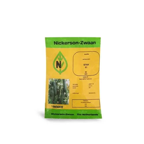 فروش بذر خیار گلخانه ای کیهان در تهران در گروه خرید و فروش بذر خیار در یکمیوه -عکس1