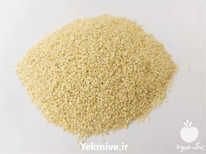 پخش فروش عمده خرده انواع کنجد در تهران در گروه خرید و فروش دانه های روغنی در یکمیوه -عکس1