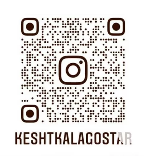 دستگاه تیلر کولتیواتور در گروه خرید و فروش کولتیواتور در یکمیوه -عکس1