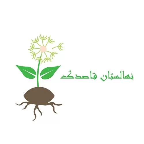 قیمت خرید نهال انگور در اردبیل در گروه خرید و فروش نهال انگور در یکمیوه -عکس1