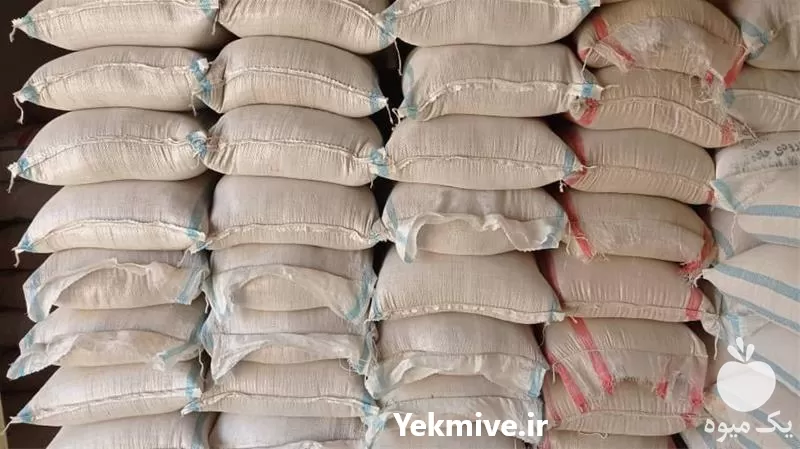 فروش دان بوقلمون بلدرچین شترمرغ در کرج در گروه مرغ و خروس و بوقلمون و اردک قو قاز در یکمیوه -عکس1