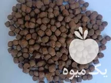 قیمت خرید غذای ماهی کپور قزل در تهران در گروه خرید و فروش ماهی کپور در یکمیوه -عکس1