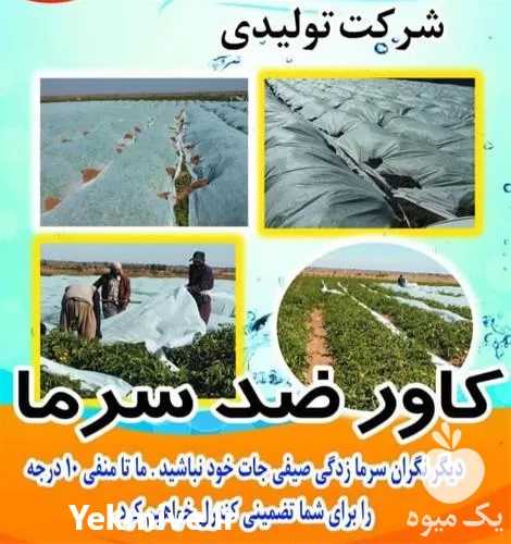 فروش کاور ضد سرما در گروه خرید و فروش توری گلخانه در یکمیوه -عکس1