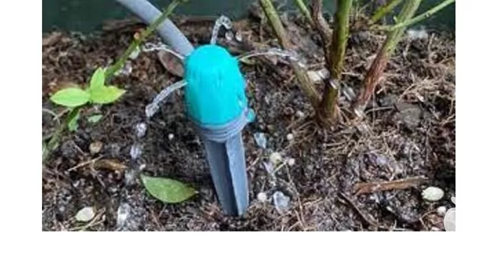 قیمت خرید اجرای سیستم آبیاری قطره در رشت در گروه خرید و فروش دستگاه آبیاری در یکمیوه -عکس1