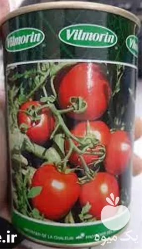 فروش بذر گوجه فرنگی ویلمورین در شیراز در گروه خرید و فروش بذر گوجه در یکمیوه -عکس1