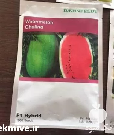بذر هندوانه هیبرید گالینا فروش بذر در قم در گروه خرید و فروش بذر هندوانه در یکمیوه -عکس1