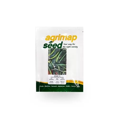 قیمت خرید بذر خیار بوته ای در تهران در گروه خرید و فروش بذر خیار در یکمیوه -عکس1