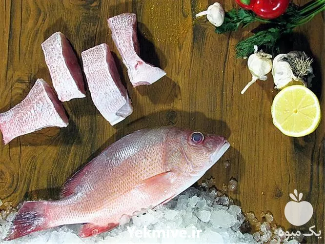 فروش بچه ماهی کپور و آمور در گروه خرید و فروش بچه ماهی در یکمیوه -عکس1