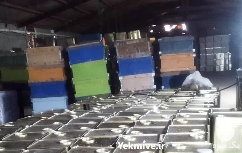 قیمت خرید عسل خالص در مشهد در گروه عسل شیره و فرآورده ی مربا در یکمیوه -عکس1