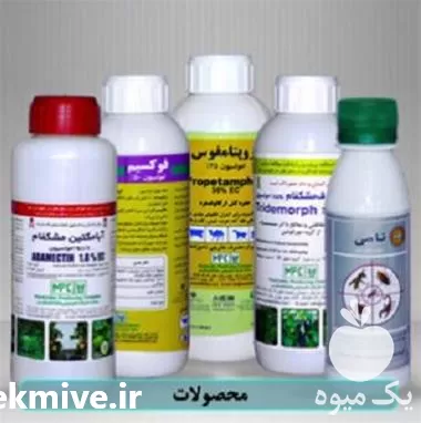 فروش سم حشرات موذی تضمینی در تهران در گروه خرید و فروش انواع سم در یکمیوه -عکس1