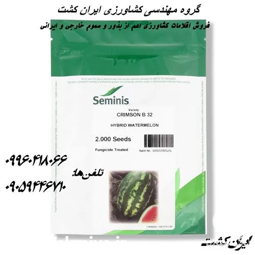 قیمت خرید بذر هندوانه b 32 در بوشهر در گروه خرید و فروش بذر هندوانه در یکمیوه -عکس1