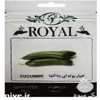 قیمت خرید بذر خیار بوته ای در اصفهان در گروه خرید و فروش بذر خیار در یکمیوه