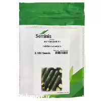 قیمت خرید بذر خیار پر محصول در کرج در گروه خرید و فروش بذر خیار در یکمیوه